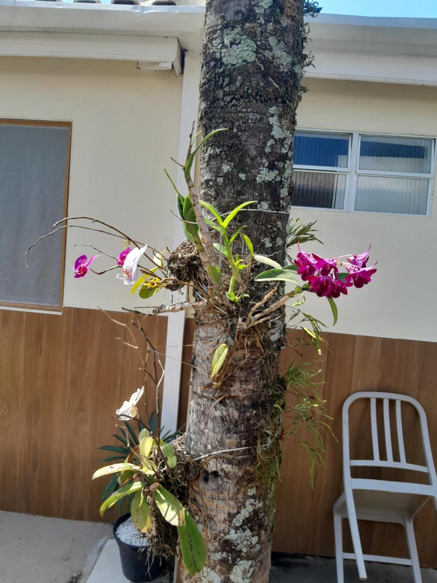 Apartment Recanto Da Kitnetes